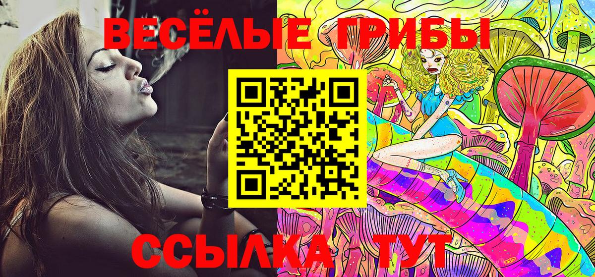Псилоцибиновые грибы мухоморы  Вход с VPN  Славгород 